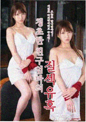 边防线上的第七个冬天封面